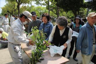 画像　苗木無料配布の様子