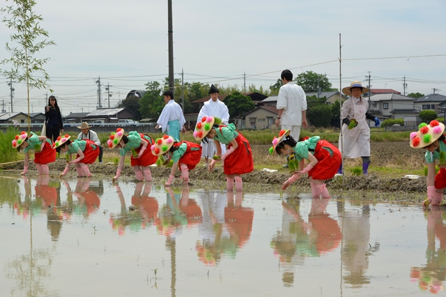 お田植祭風景写真