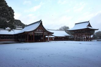 画像　津島神社