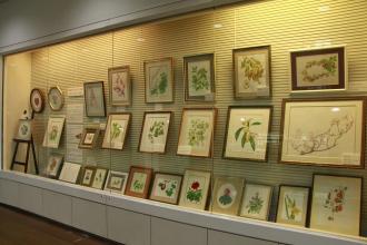 【画像】ボタニカルアート展