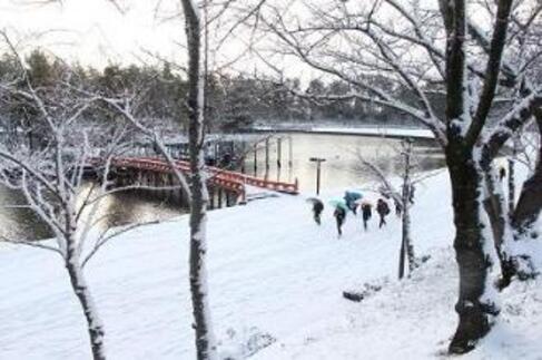 画像　天王川公園の雪景色