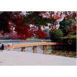 秋の天王川公園