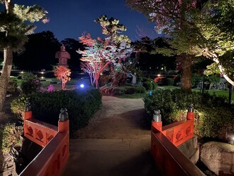 天王川公園ライトアップ３