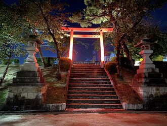 天王川公園ライトアップ４