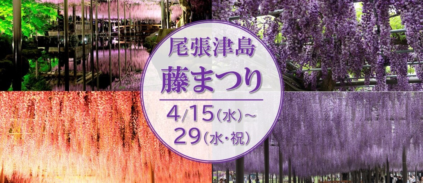 令和8年尾張津島藤まつりについて