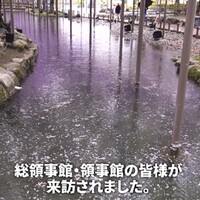 トピックス画像その11