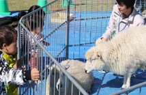 天王川公園・移動動物園