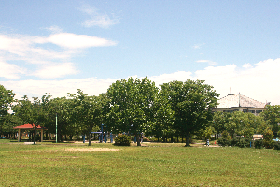 東公園の写真