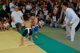 相撲大会1年生の部の取組風景1