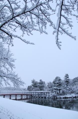 天王川公園中之島雪景色風景
