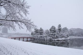 天王川公園中之島雪景色風景