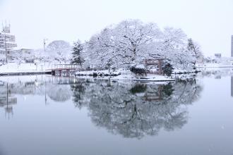 天王川公園御葭島雪景色風景