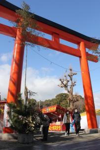 画像　神社の鳥居