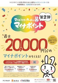 マイナポイント