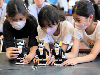 TPPプログラミング大会（昨年の様子）